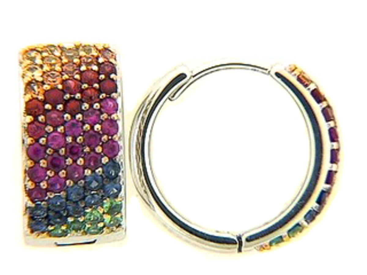 RAINBOW SAPPHIRE & TSAVORITE EARRING, 18KW (H/U)