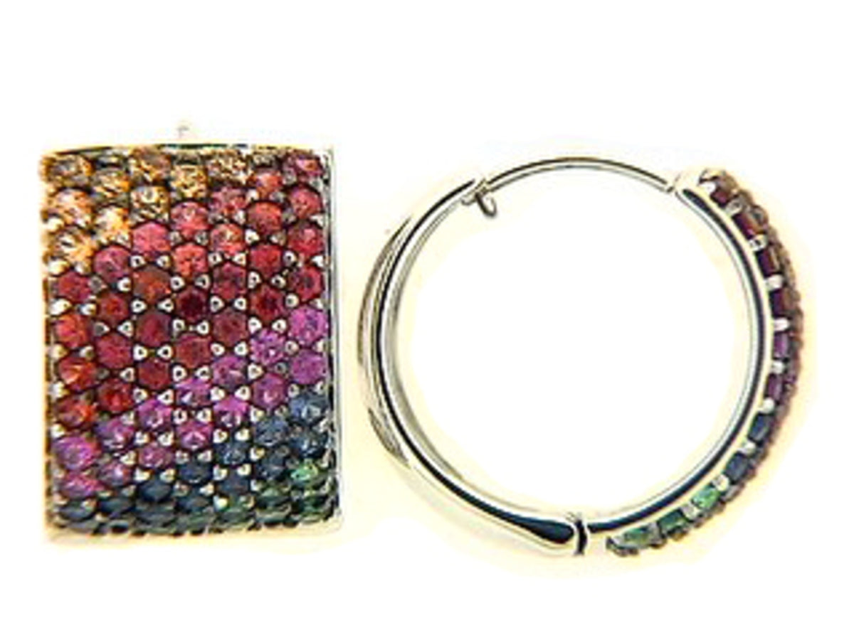 RAINBOW SAPPHIRE & TSAVORITE EARRING, 18KW (H/U)