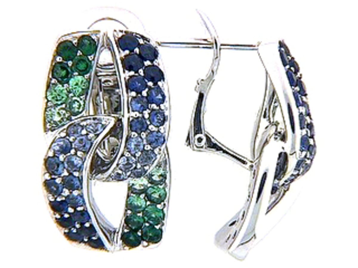 SAPPHIRE & TSAVORITE EARRING, 18KW (H)