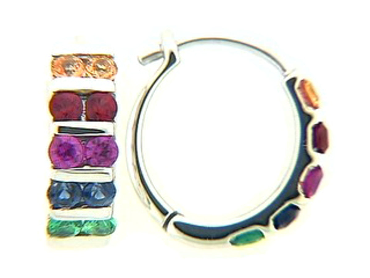 RAINBOW SAPPHIRE & TSAVORITE EARRING, 18KW (H/U)