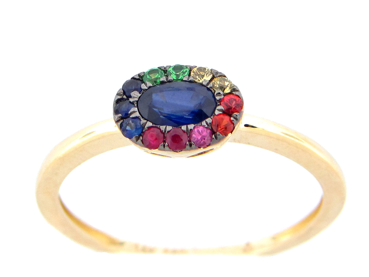 FANCY SAPPHIRE & TSAVORITE OVAL RING, 14KY (H/U/N)
