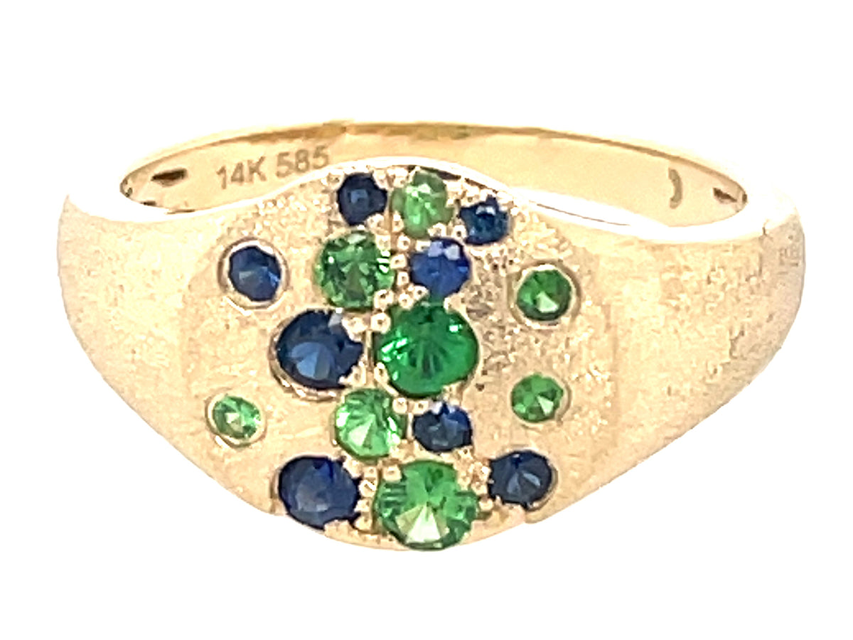 BLUE SAPPHIRE & TSAVORITE FLUSH RING, SATIN FINISH, 14KY (H/N)