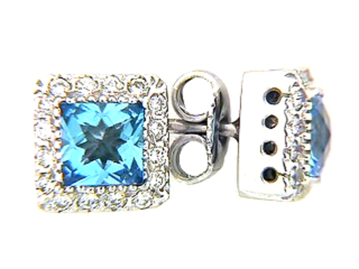 CHB SWISS BT & DI EARR