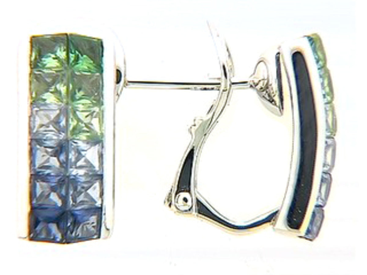 TSAVORITE & SAPPHIRE EARRING