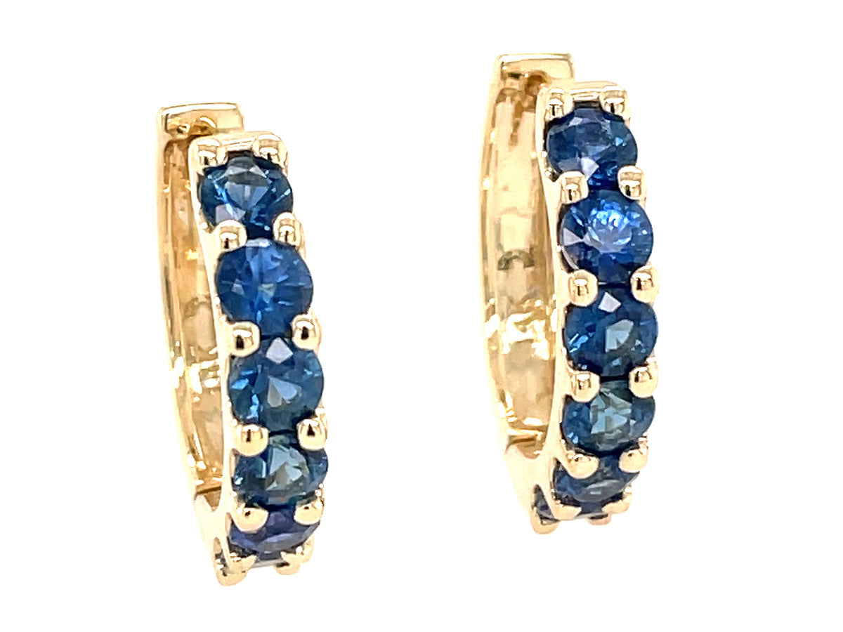 SAPPHIRE HUGGY EARRING