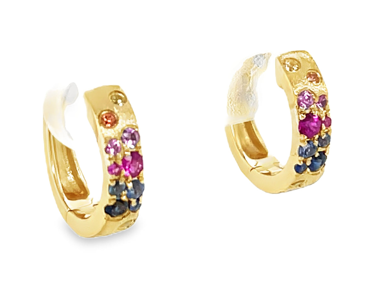 RAINBOW SAPPHIRE & TSAVORITE FLUSH SET HUGGY EARRING, SATIN FINISH