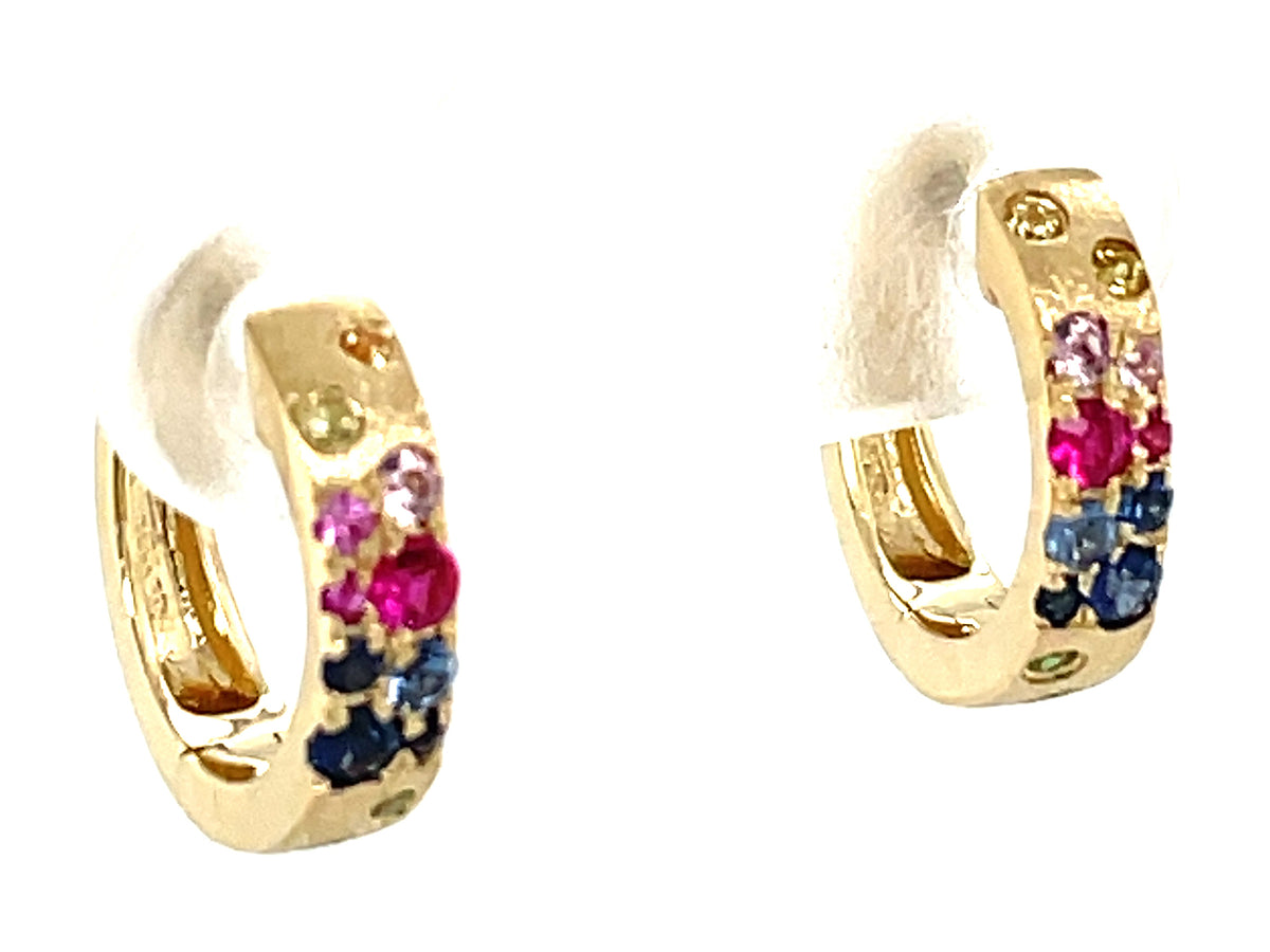RAINBOW SAPPHIRE (H) & TSAVORITE (N) FLUSH SET HUGGY EARRING, SATIN FINISH