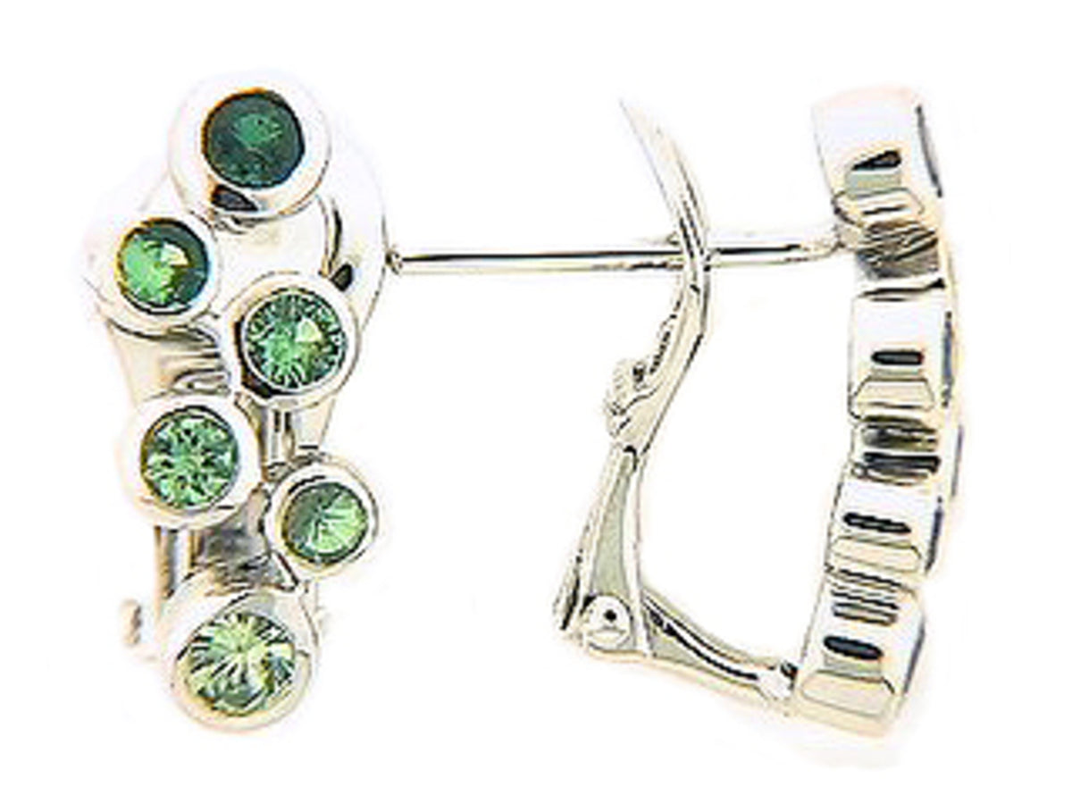 Tsavorite Earring, 18kw (N)