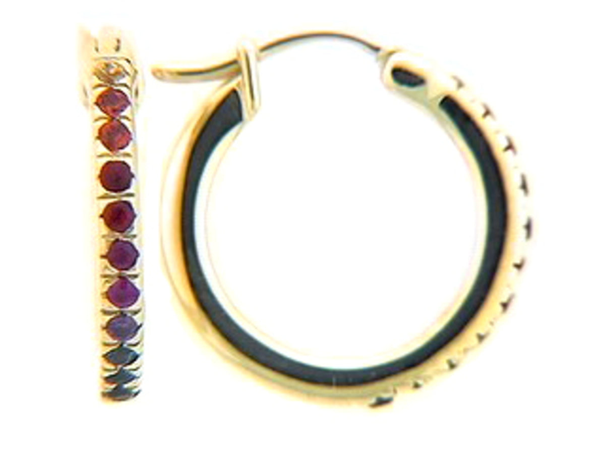 Rainbow Sapphire Earring