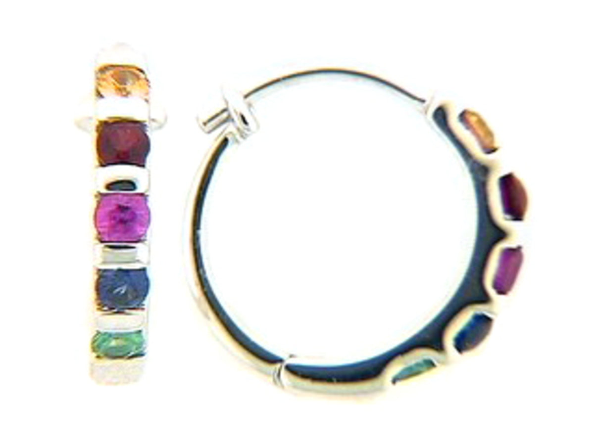 RAINBOW SAPPHIRE & TSAVORITE EARRING, 18KW (H/U)