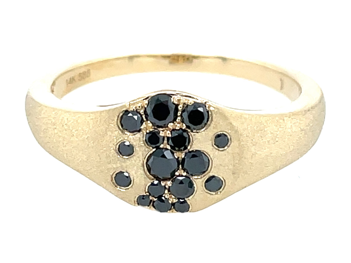 Black Diamond Flush Set Ring, Satin Finish