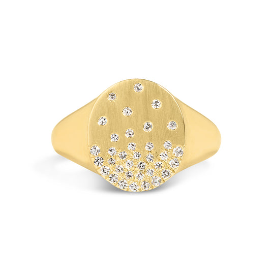 Diamond Petite Confetti Signet Ring