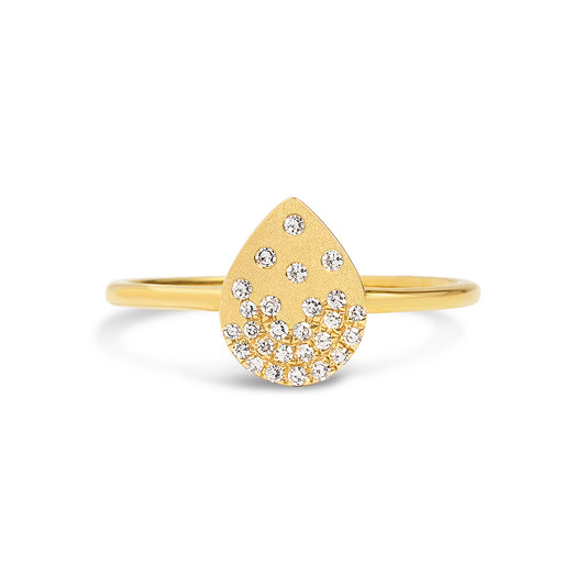 Diamond Petite Confetti Pear Ring