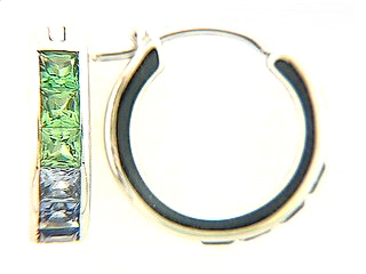 SAPPHIRE & TSAVORITE EARRING, 18KW (H)
