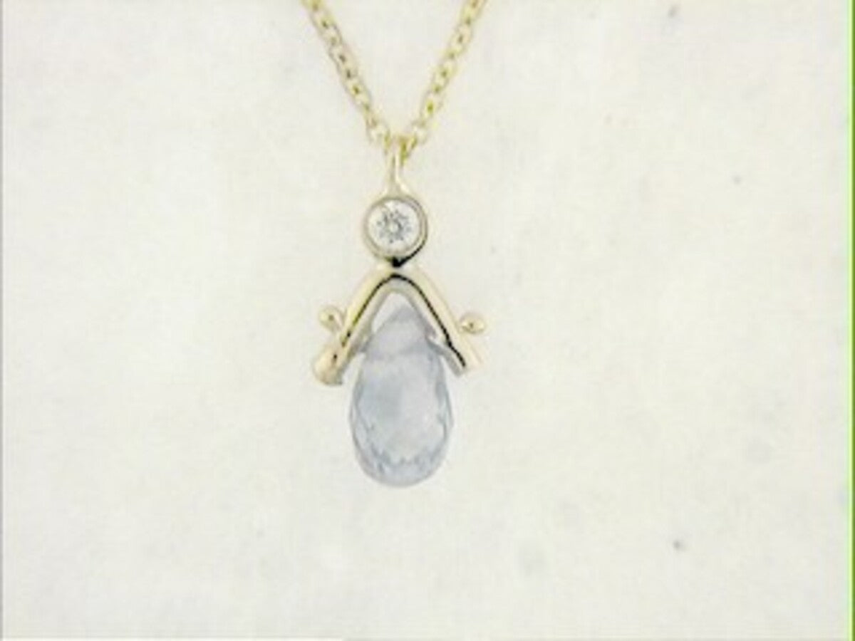 BRIOL F/C SA (BLUE) & DI PEND