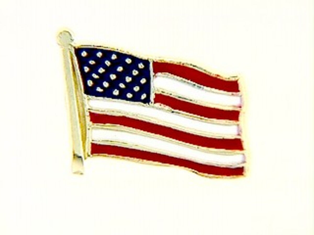ENAMEL US FLAG PIN