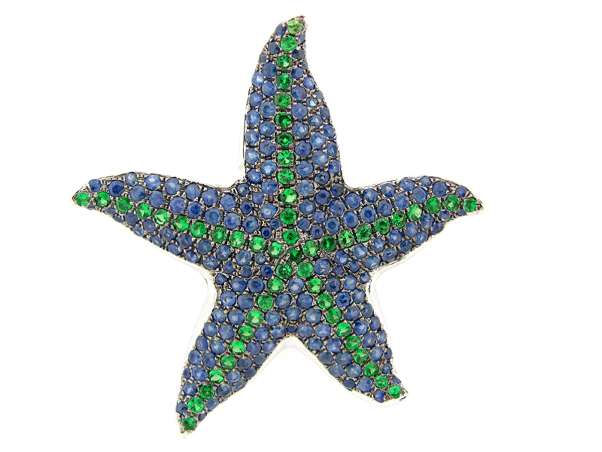 SAPPHIRE & TSAVORITE BROACH, SILVER (H)