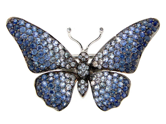 Sapphire Butterfly Bro0ch, Black Finish, Silver (H)